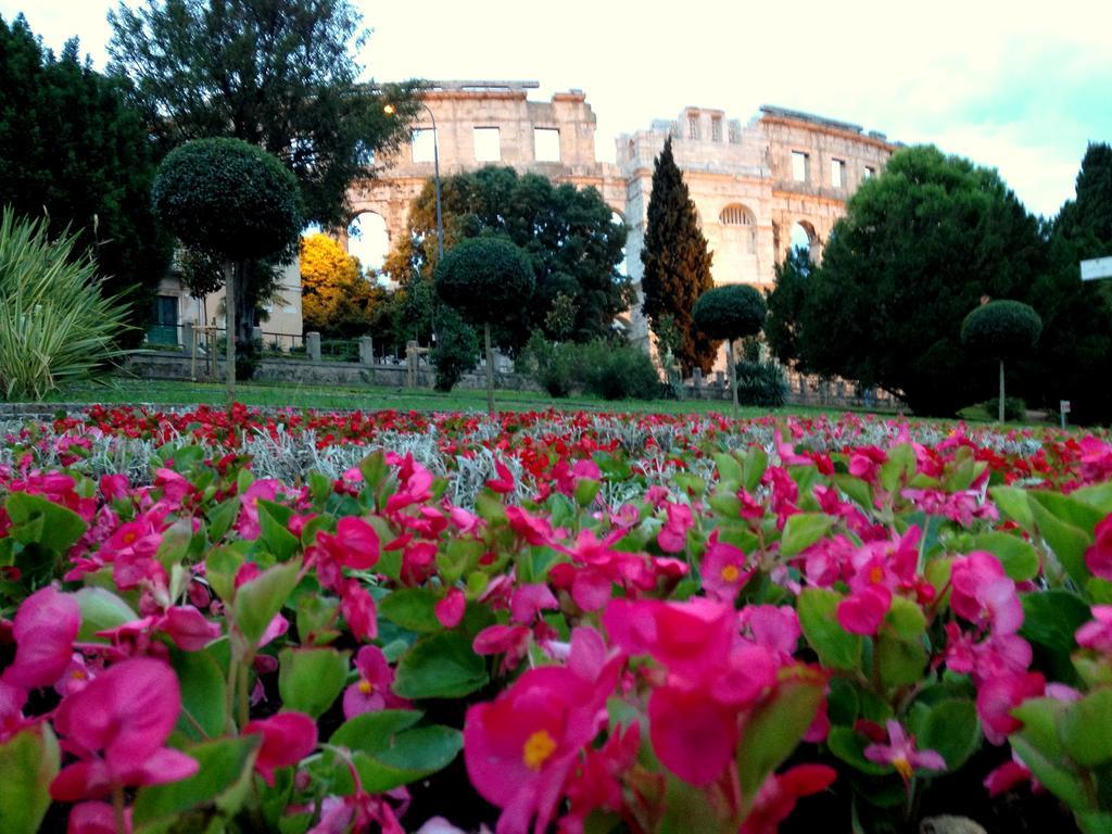 Amphitheater Apartment Pola Esterno foto